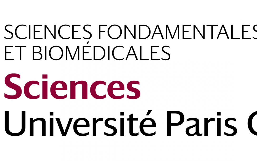 Élection Direction UFR