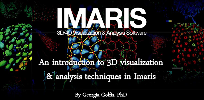 IMARIS 3D/4D Visualization & Analysis Software
