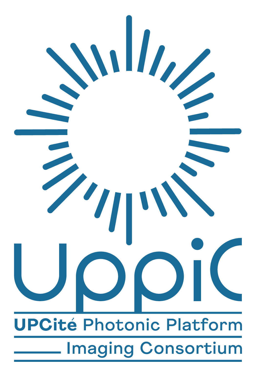 Logotype_UppiC_couleur