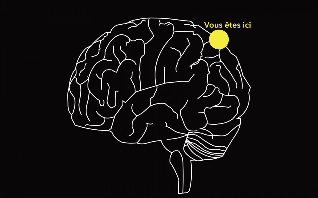 Regards croisés