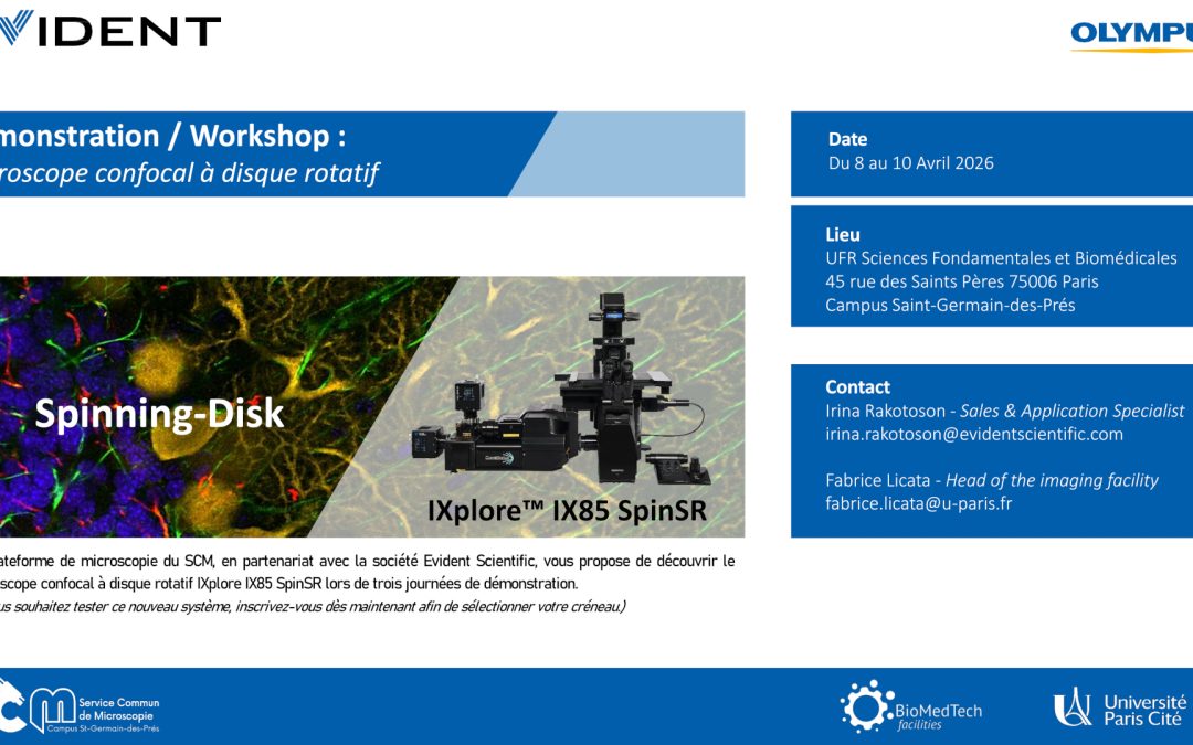 Démonstration « Spinning Disk » : Microscope confocal à disque rotatif